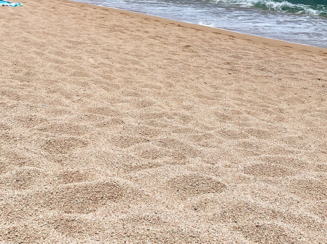 Santa Maria Beach-卡波圣卢卡斯必去景点