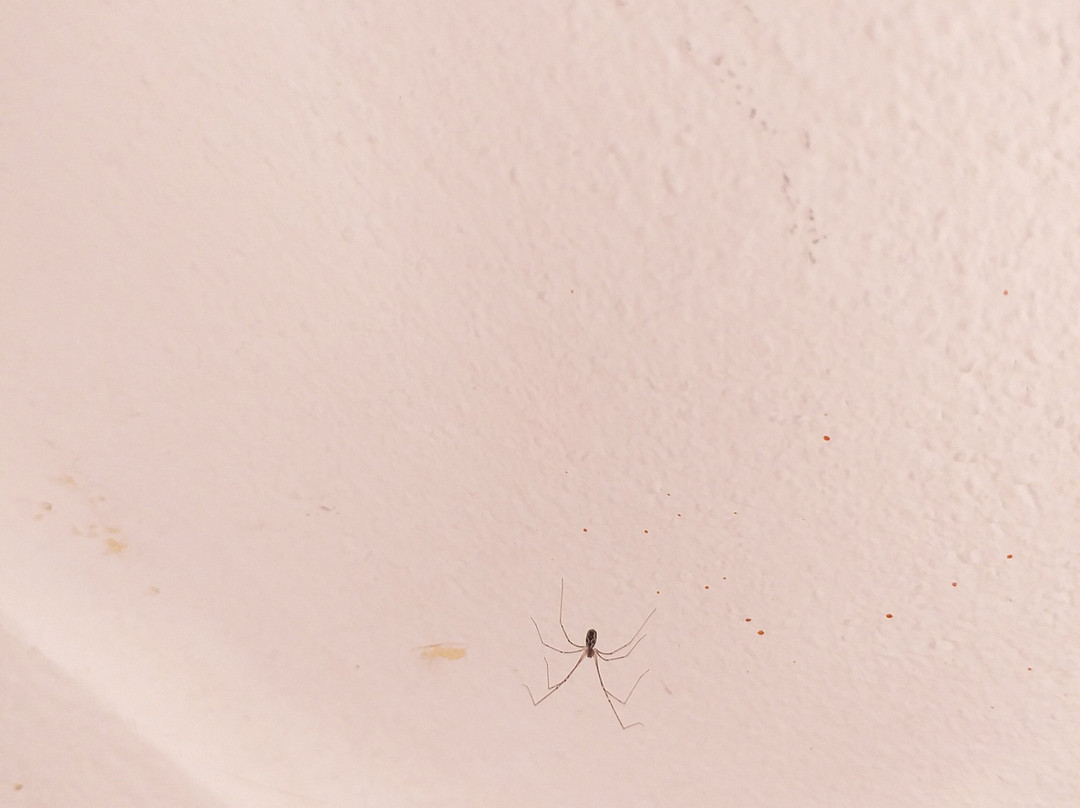 圣文森特酒店主图