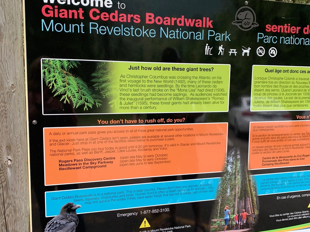 Giant Cedars Boardwalk Trail-雷夫尔斯托克必去景点