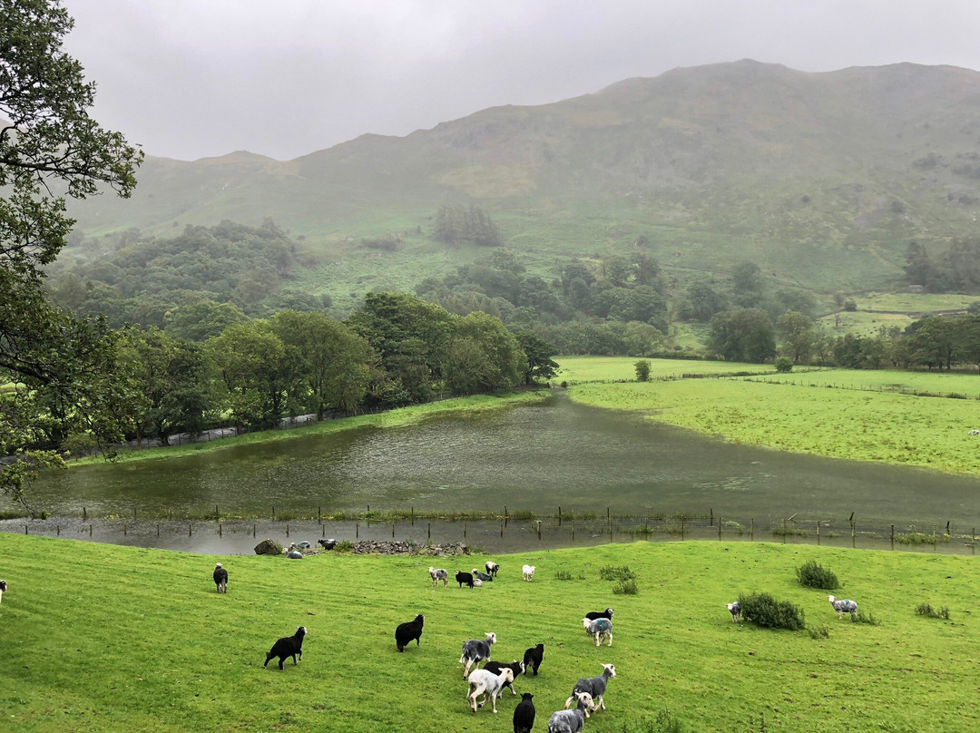 Greenbank Farm主图