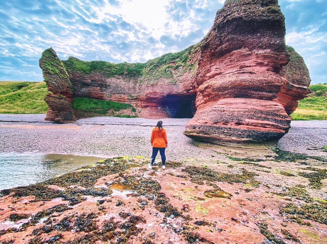 Arbroath Cliffs-Arbroath必去景点