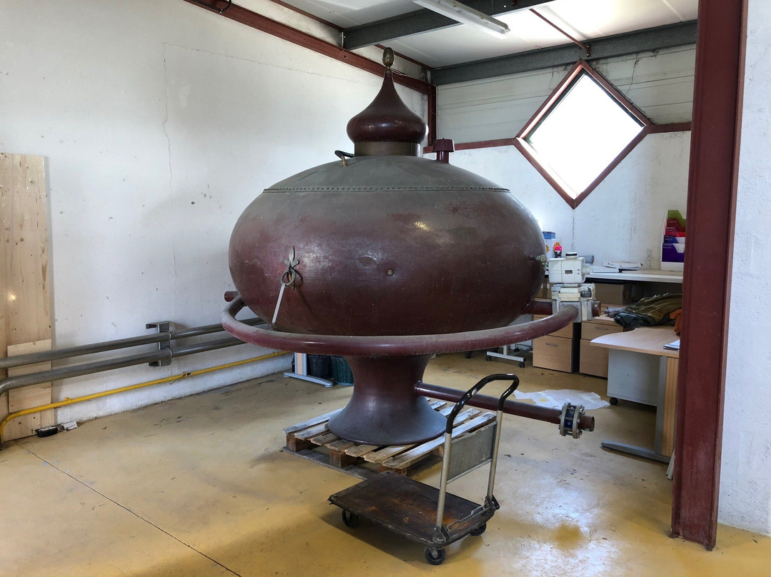 Les Vignerons d'Oleron-Saint-Pierre-d'Oleron必去景点