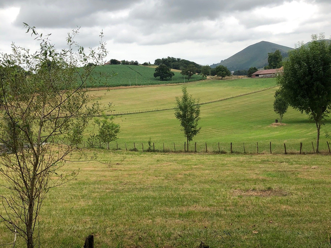 Grottes d'Isturitz & Oxocelhaya-Saint-Martin-d'Arberoue必去景点