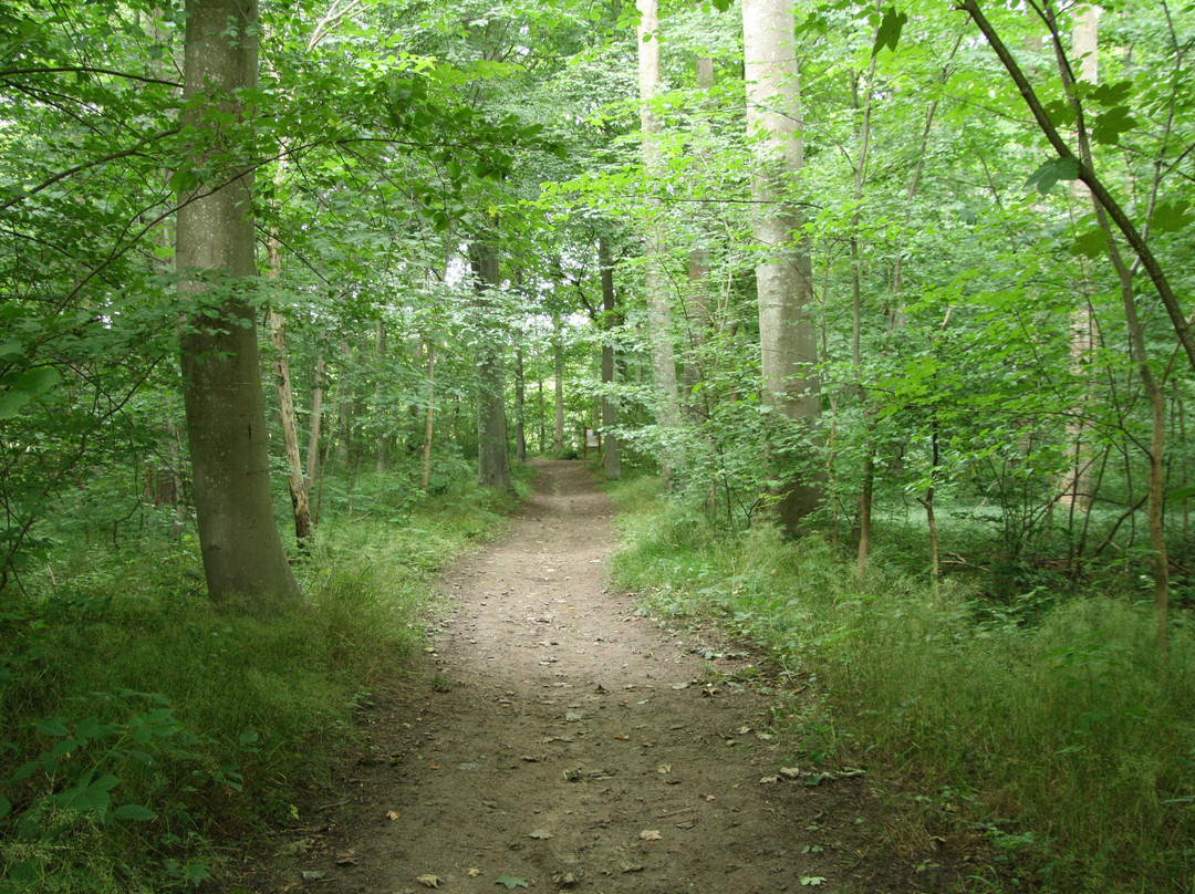 Tønballe Naturcenter景点图片