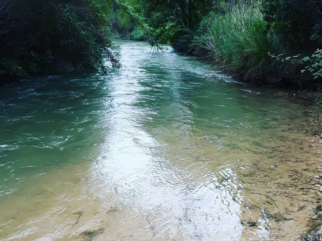 Casas Rurales del Abuelo主图