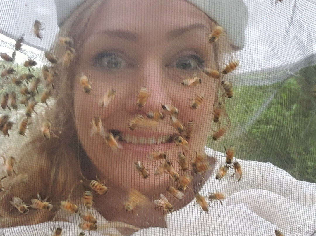 BayBees Honey, LLC-Whaleyville必去景点