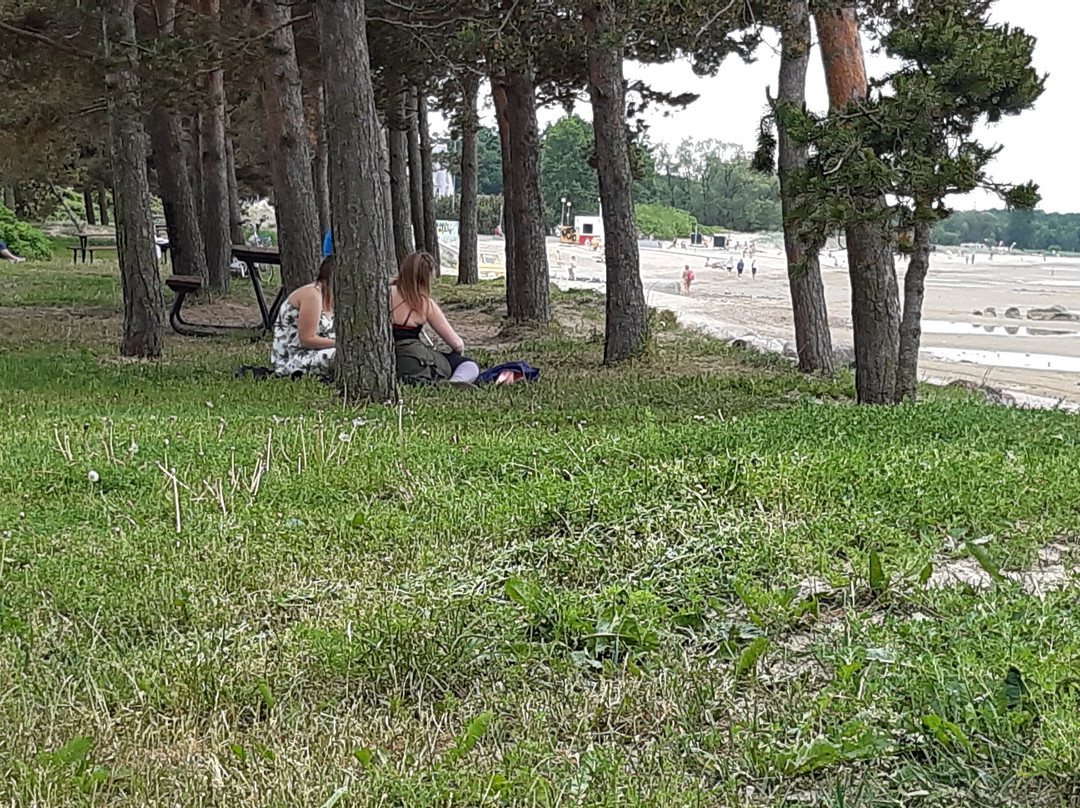 Stroomi Beach-塔林必去景点