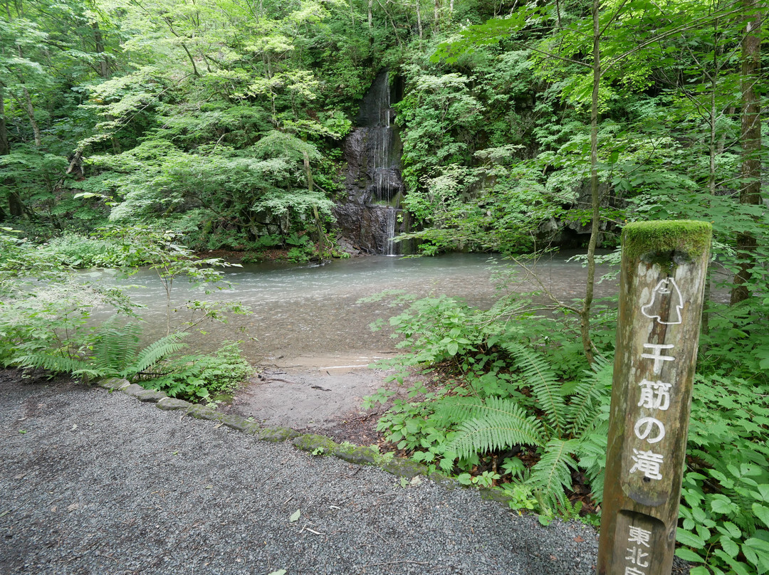 Sensuji no Taki-十和田市必去景点
