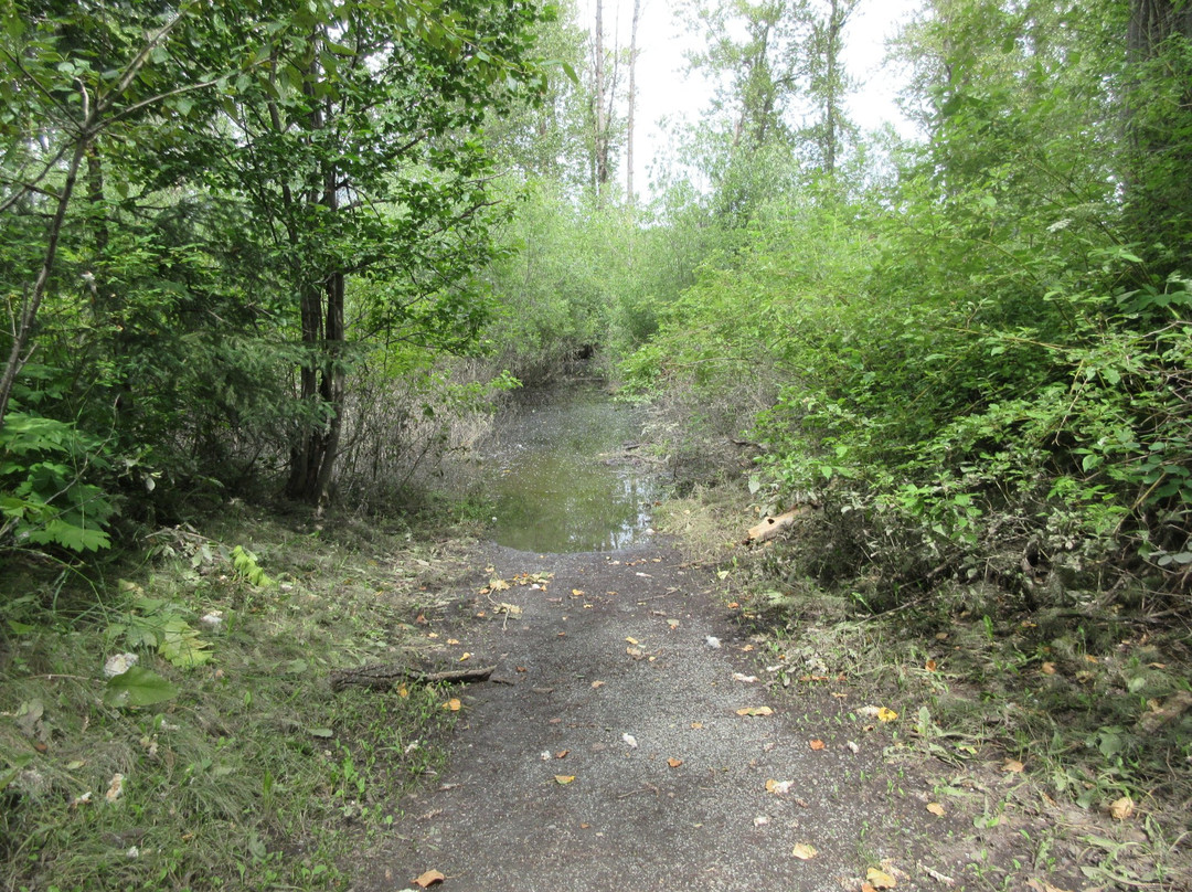 Cottonwood Island Nature Park景点图片