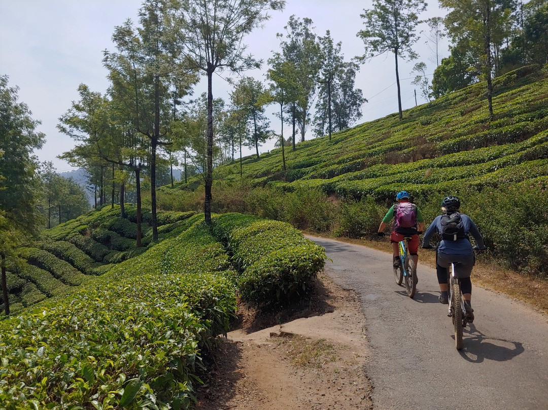 Mountain Bike Kerala景点图片
