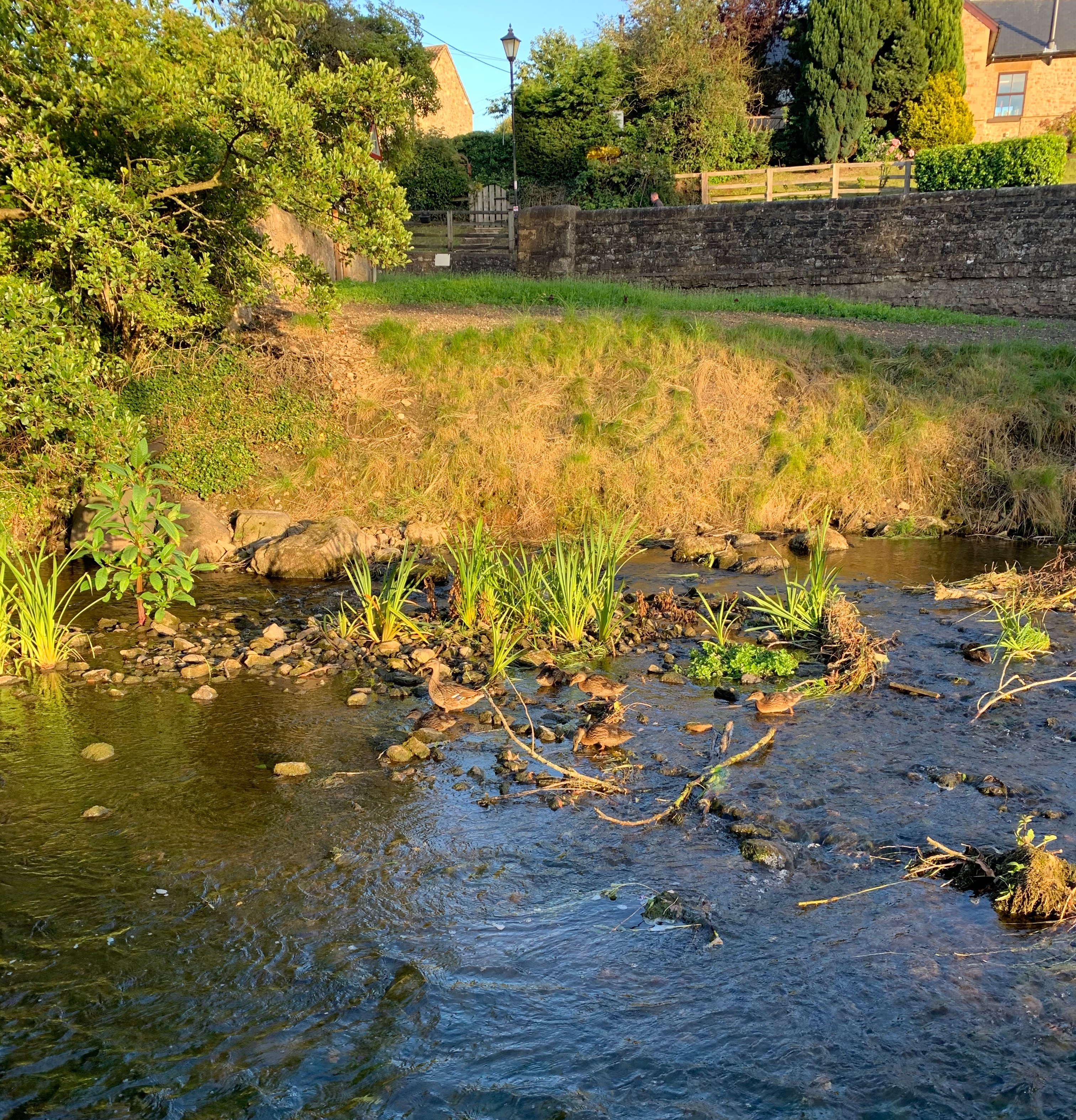 Crakehall Watermill-官方
