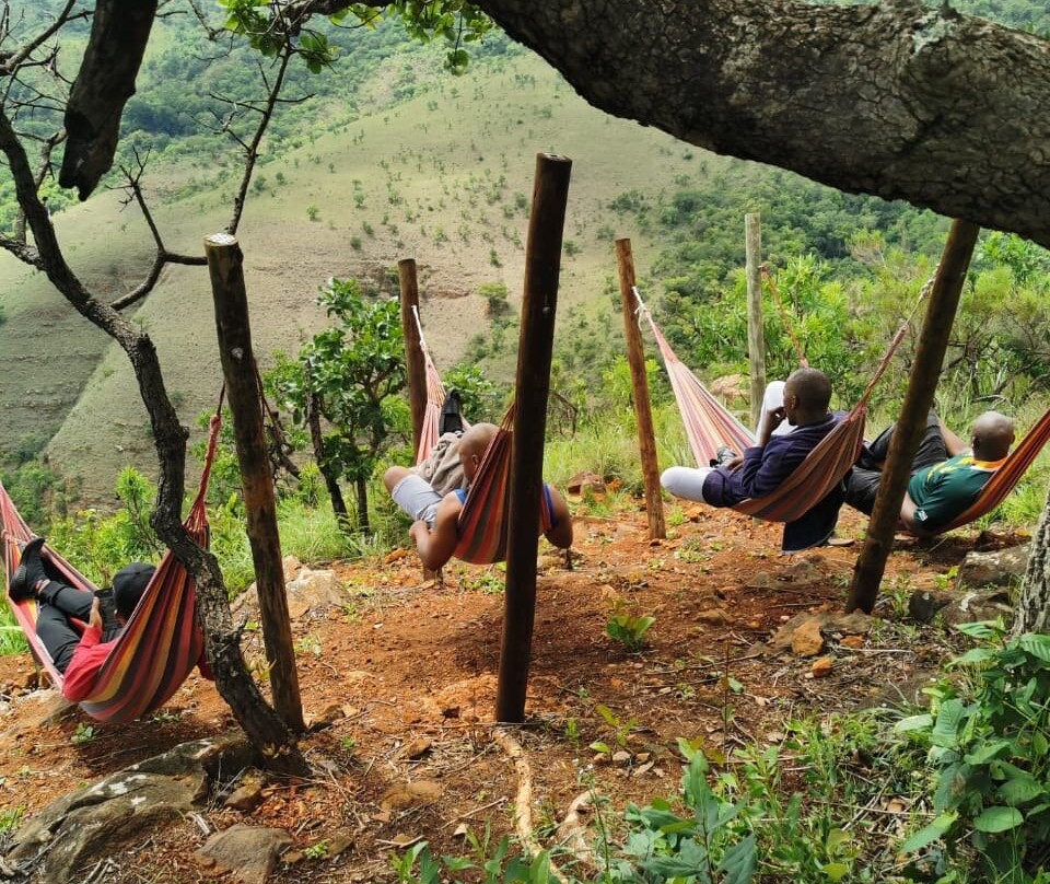 Wolwekrans Eco Lodge主图