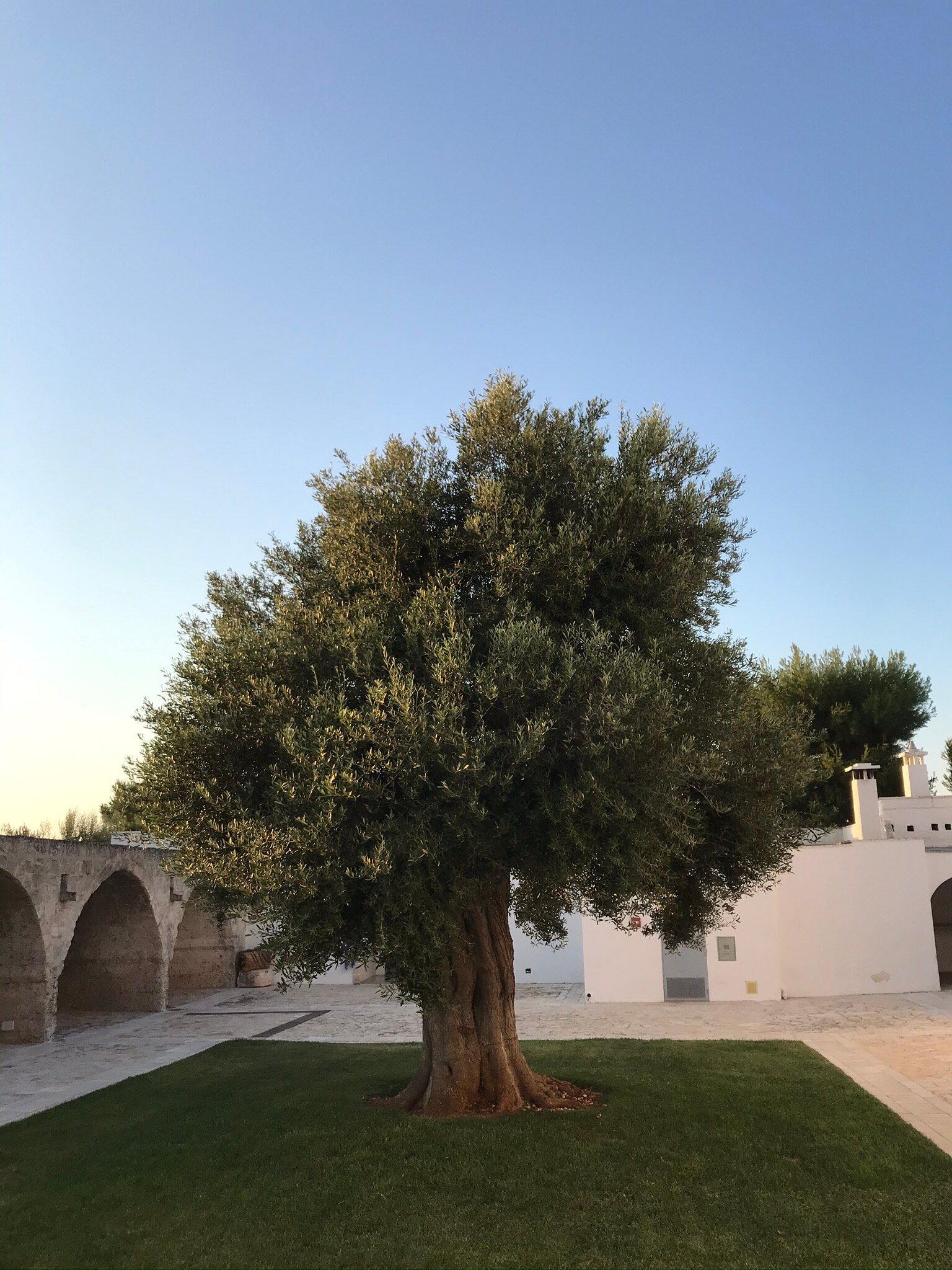 Masseria San Giovanni - Epoca Collection-酒店景观