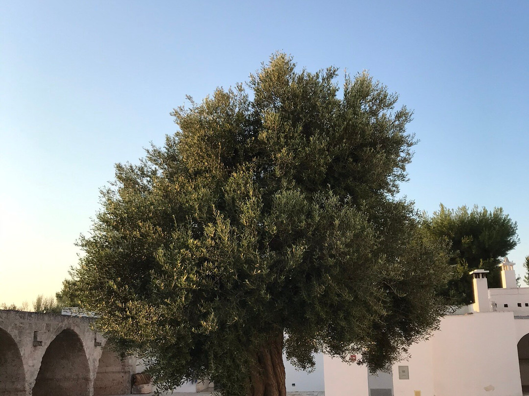 Masseria San Giovanni - Epoca Collection主图