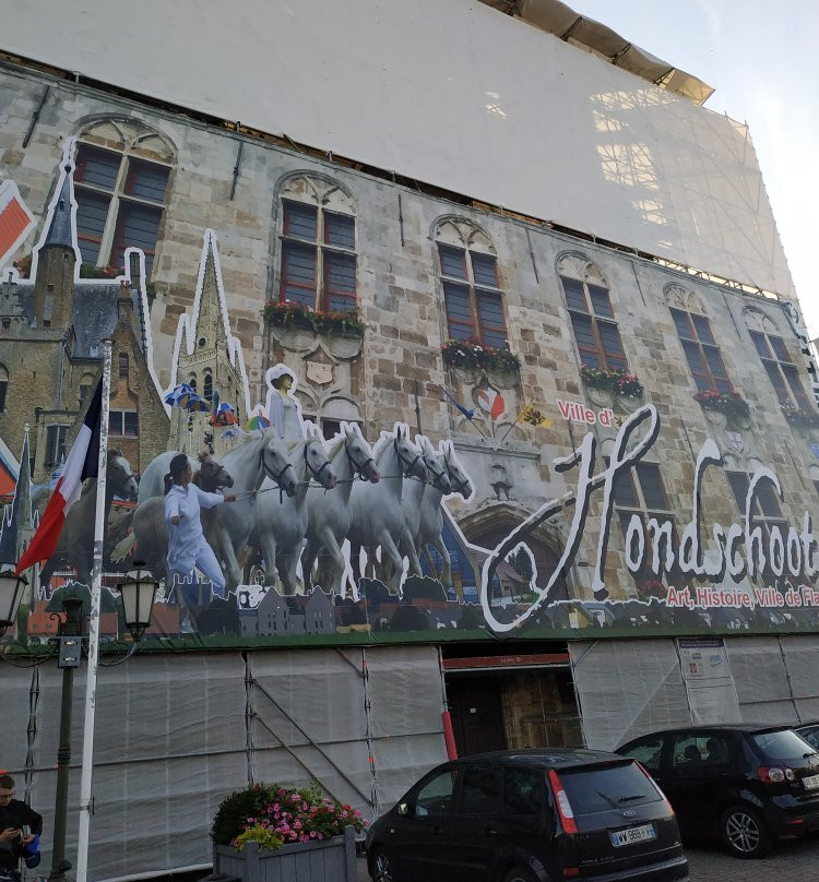 Hôtel de Ville-Hondschoote必去景点