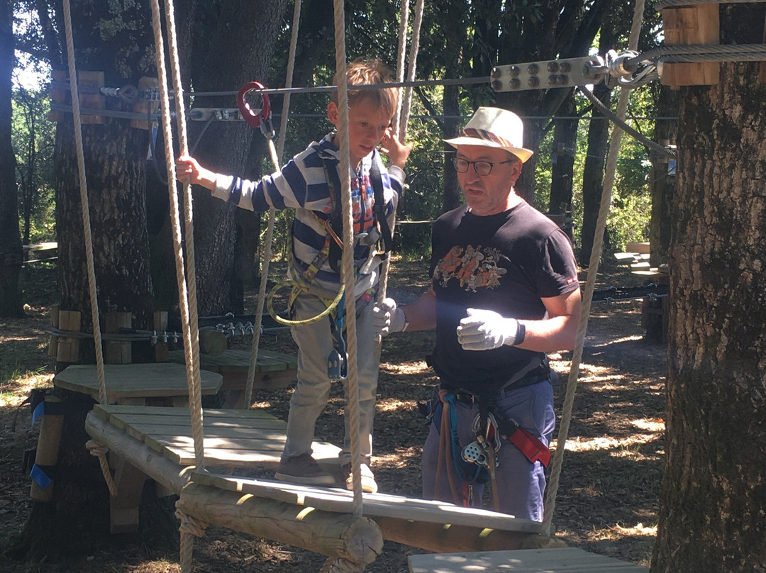 Piriac Adventure Tree climbing-Piriac-sur-Mer必去景点