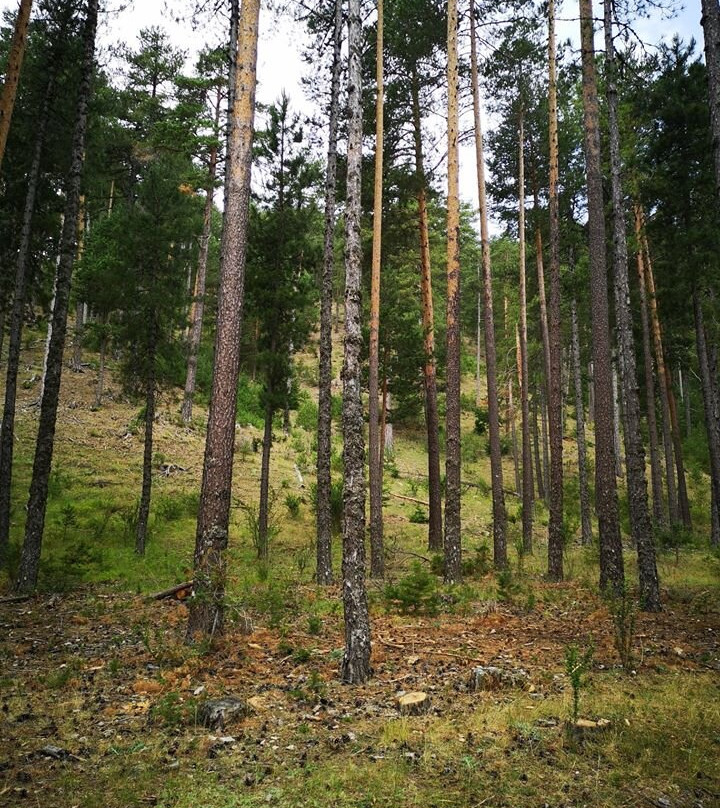 Nacimiento del rio Jucar景点图片