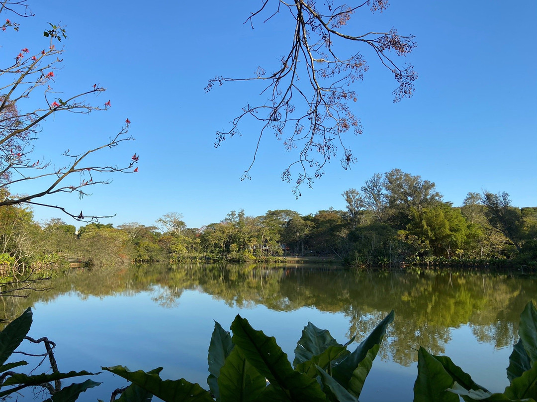 Parque Roberto Burle Marx景点图片