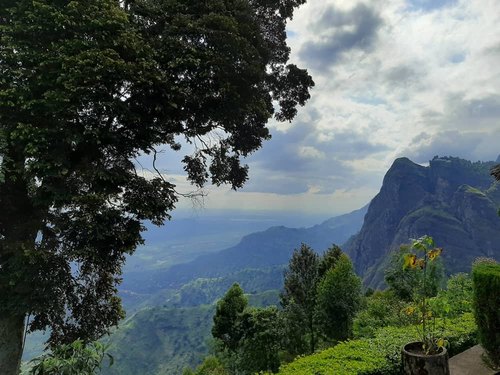 Swiss Farm Cottage主图