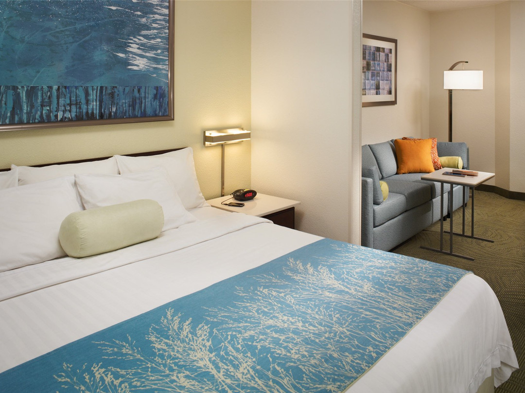 诺福克酒店住宿-SpringHill Suites by Marriott Norfolk Virginia Beach