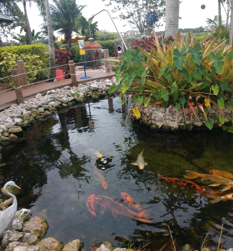Fish Hole Miniature Golf Lakewood Ranch-Lakewood Ranch必去景点