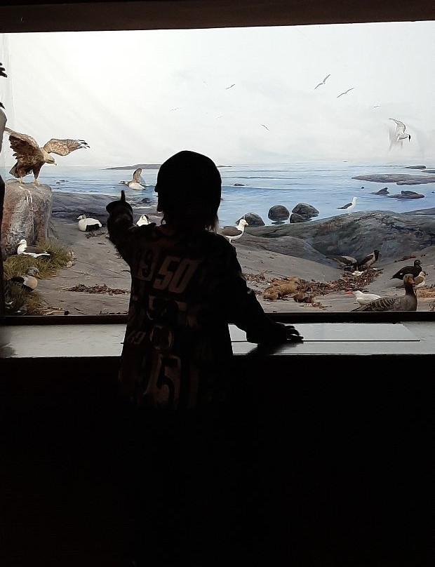 Turku Biological Museum-土尔库必去景点