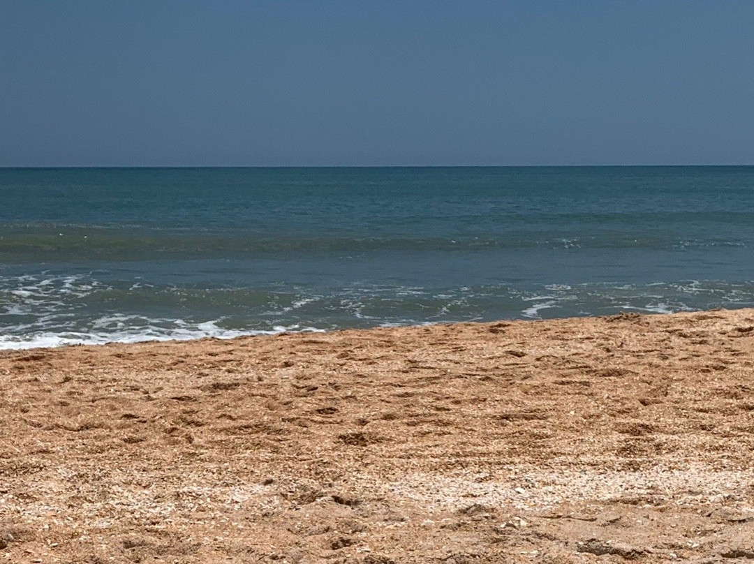 Varn Park-棕榈海岸必去景点