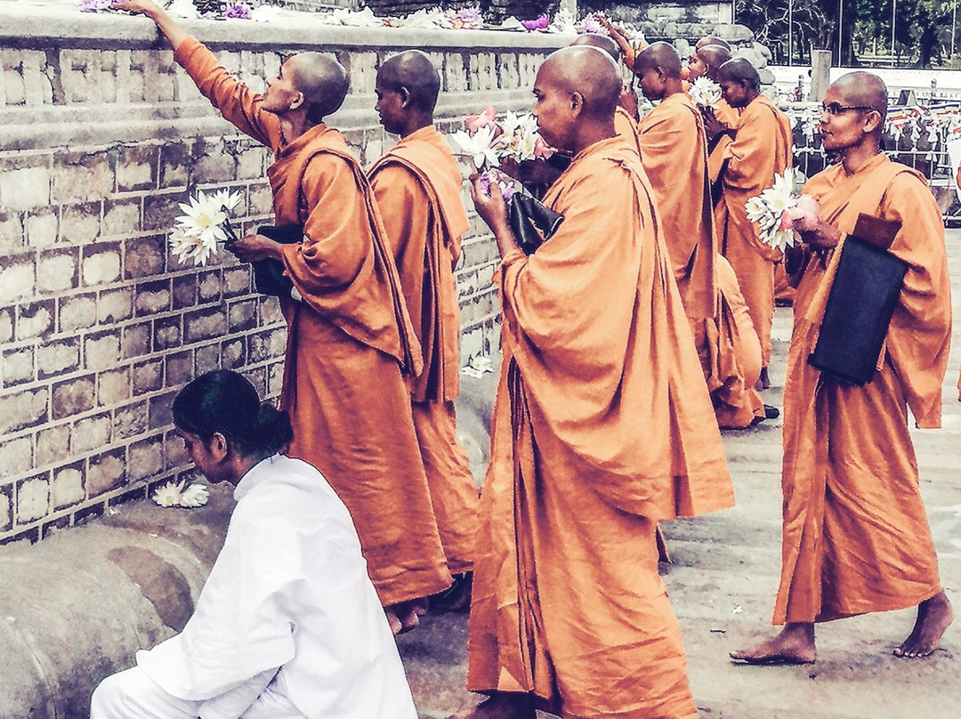 Unseenlanka Tours-加勒必去景点
