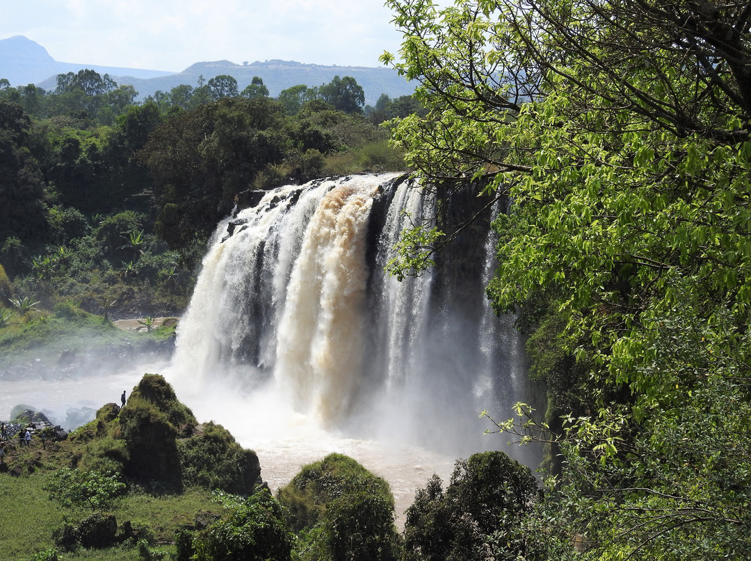 Blue Nile Falls景点图片