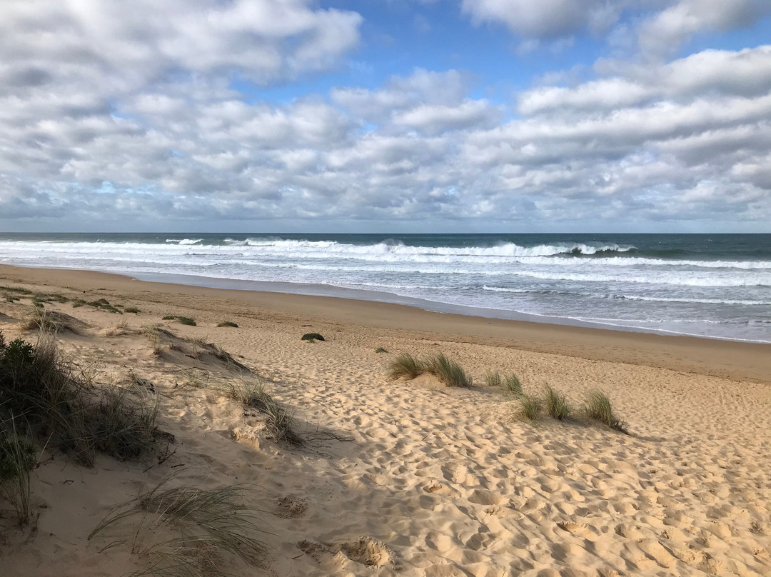 Stockyard Hill Surf Beach景点图片