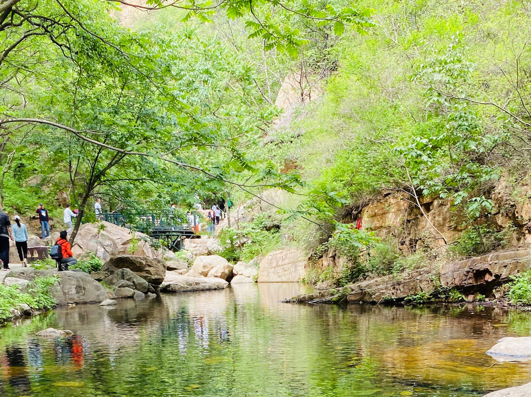 石林峡景点图片