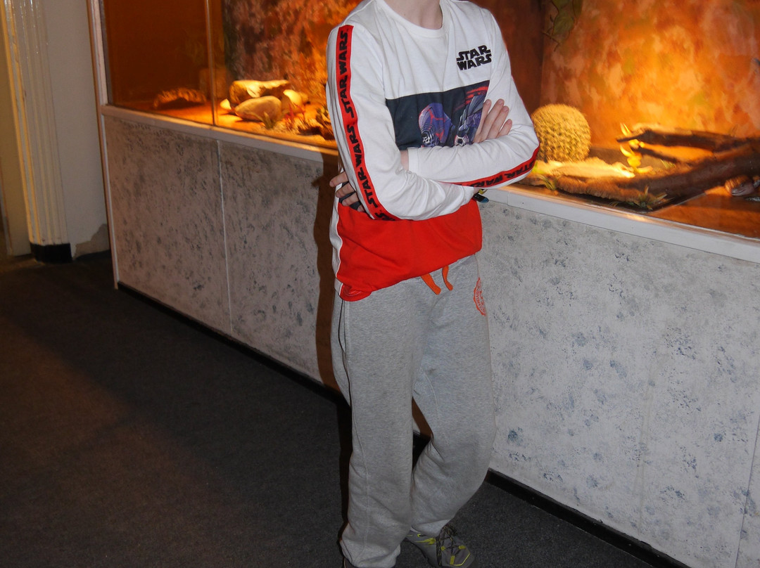 Iguana Reptile Zoo-Zeeland Province必去景点