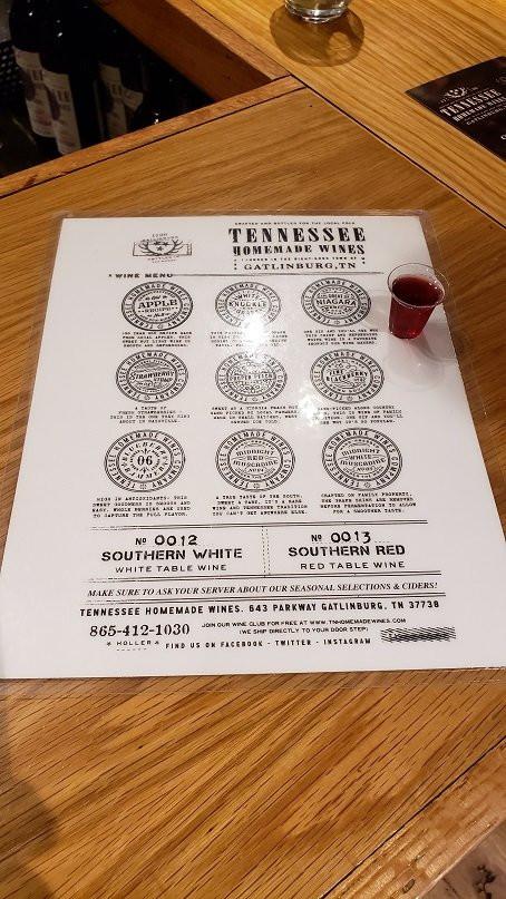Tennessee Homemade Wines-盖林柏格必去景点