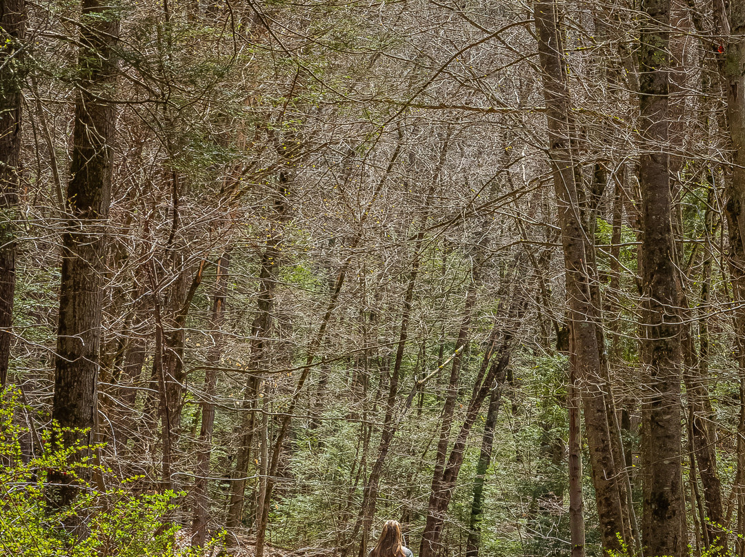 Steep Rock Preserve-Washington Depot必去景点