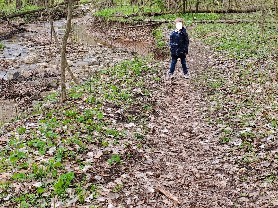 Seven Pillars Nature Preserve - Acres Land Trust-Peru必去景点