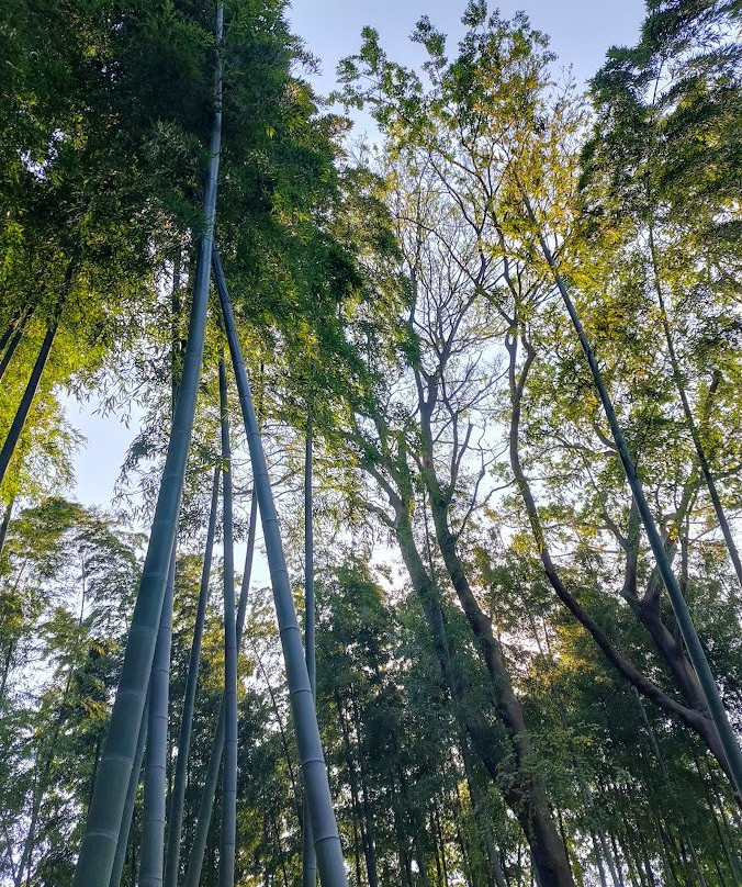 Suzume no Oyado Ryokuchi Park-目黒区必去景点