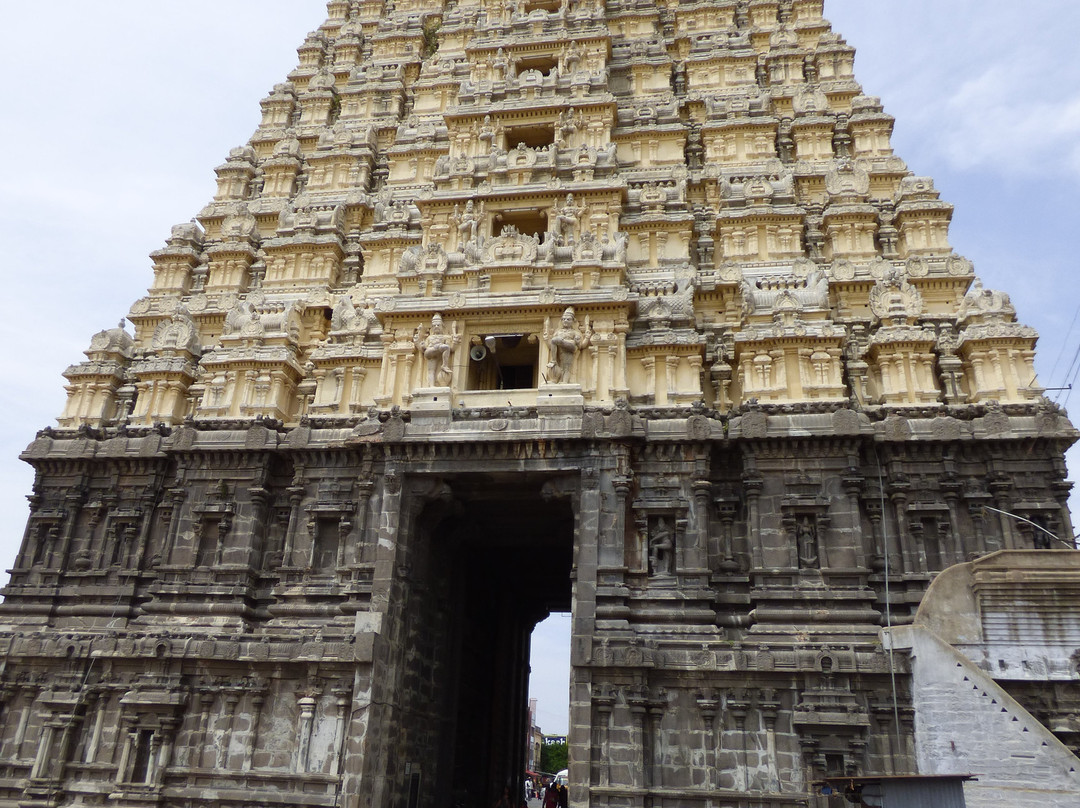 Ekambareswarar Temple-甘吉布勒姆必去景点