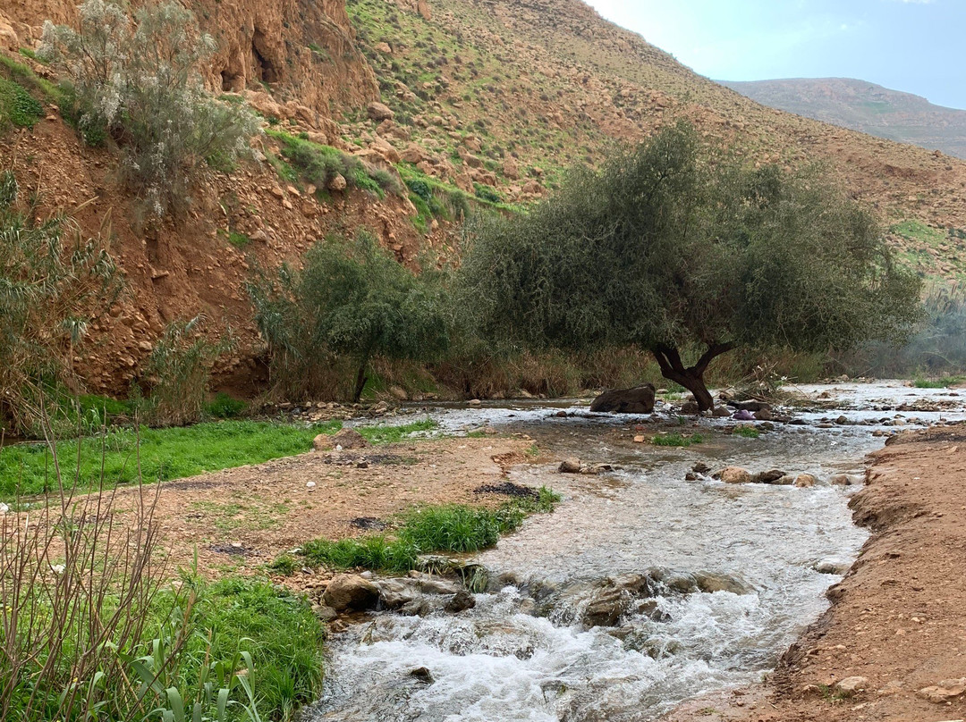 Jericho Resort Village主图