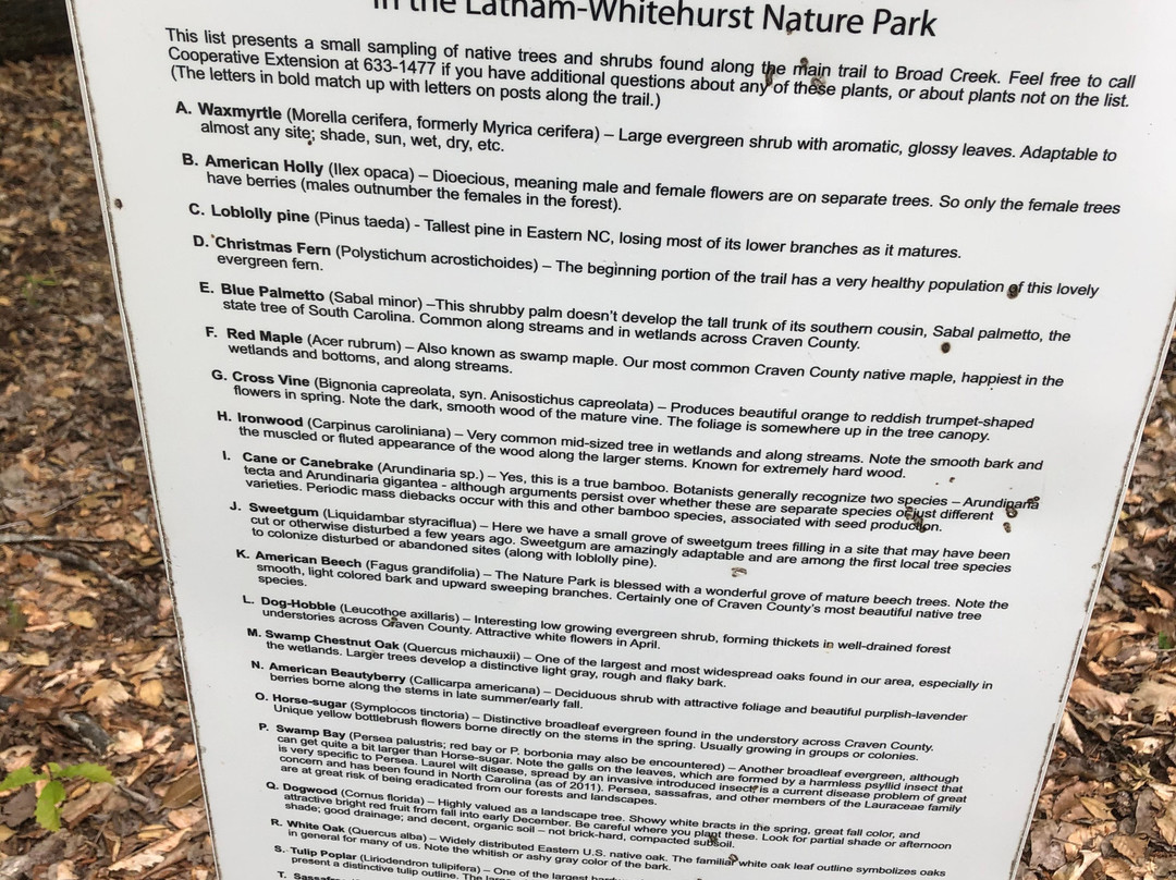 Latham Whitehurst Nature Park-新伯尔尼必去景点