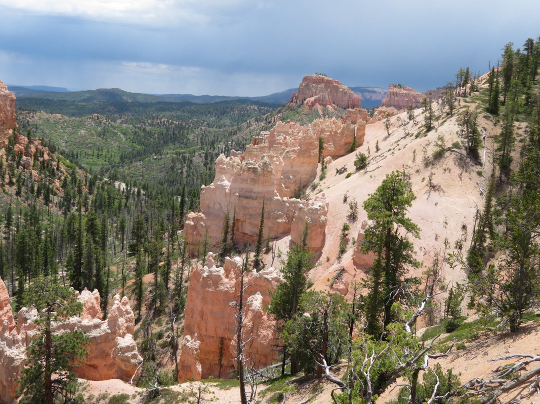 Swamp Canyon-布莱斯峡谷国家公园必去景点