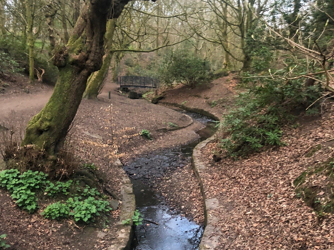 Prestwich Forest Park-曼彻斯特必去景点