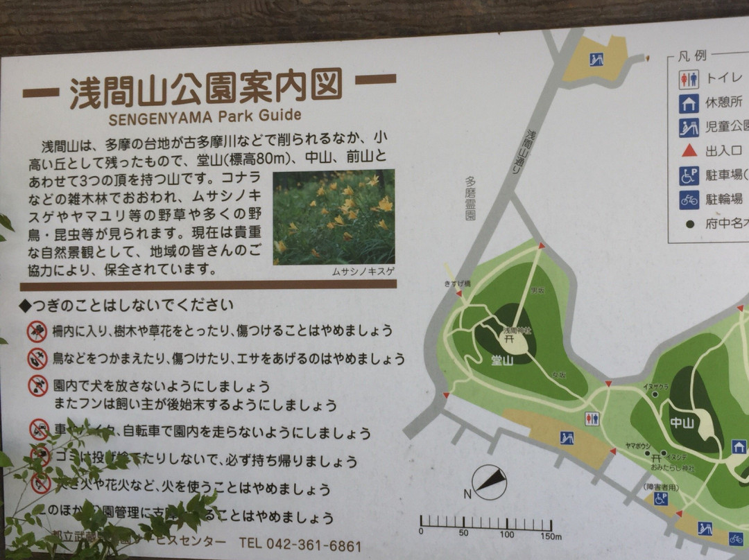 Sengenyama Park-府中市必去景点