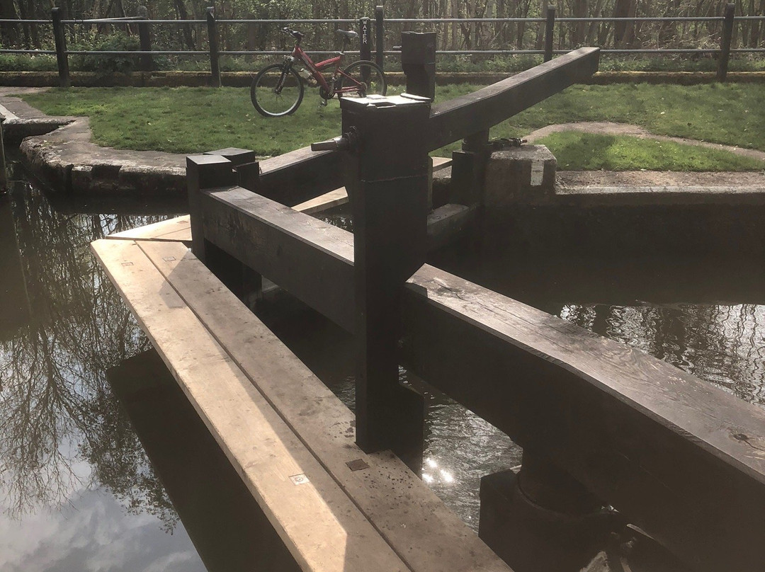 Pyrford Lock景点图片