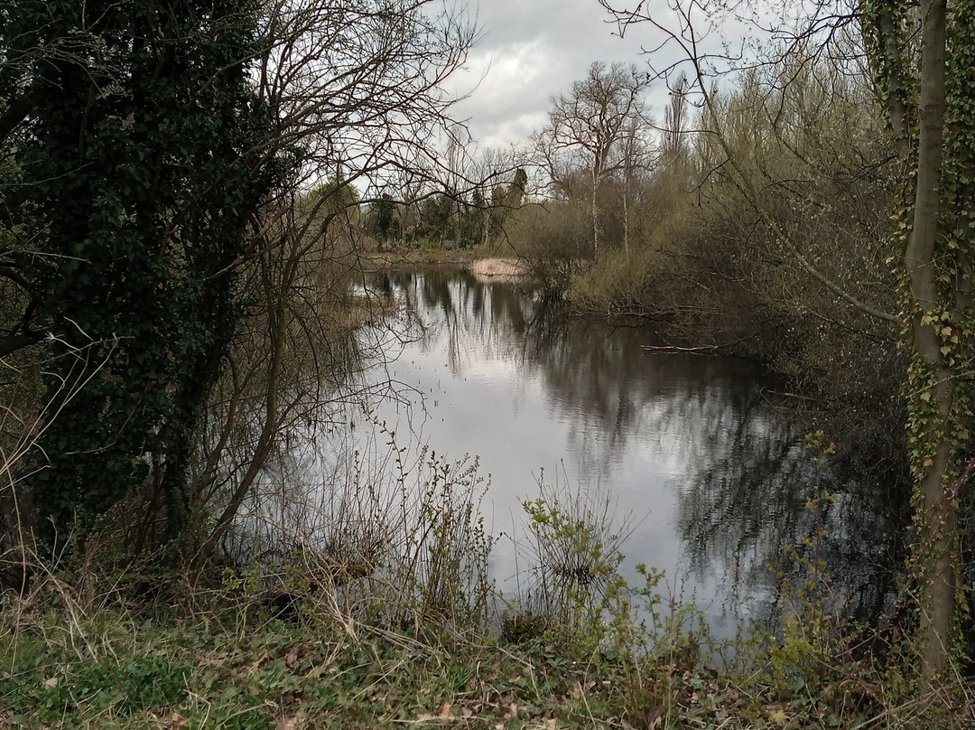 Forbes Hole Local Nature Reserve景点图片