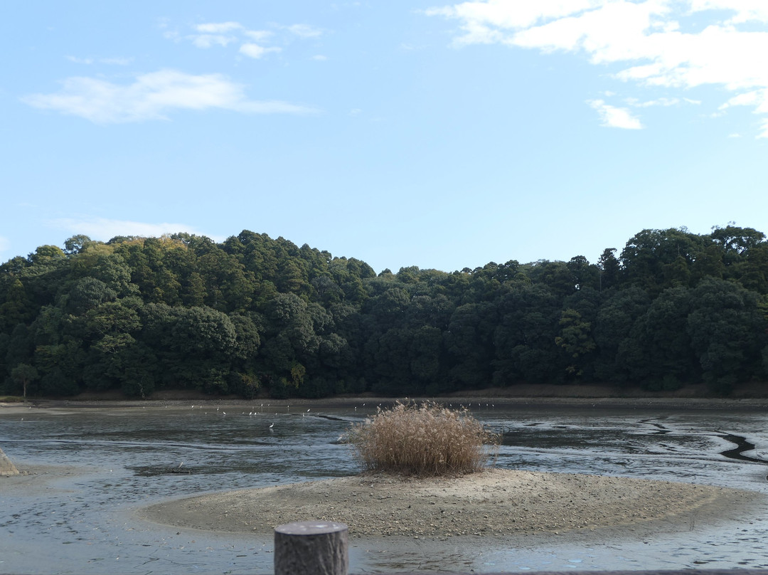 Hashihaka-樱井市必去景点