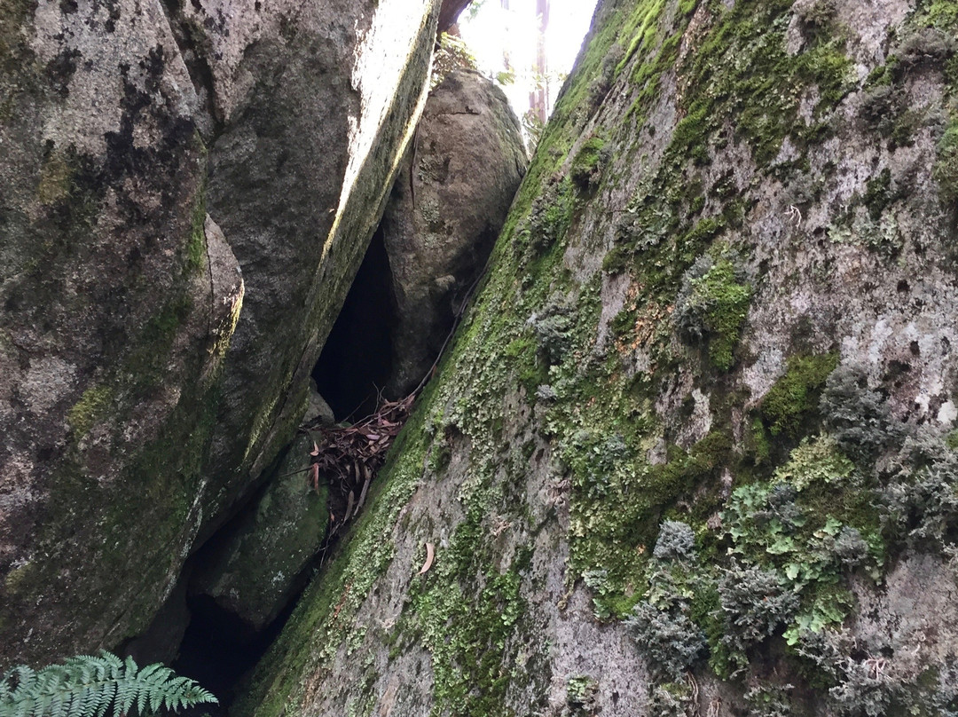 Mushroom Rocks景点图片