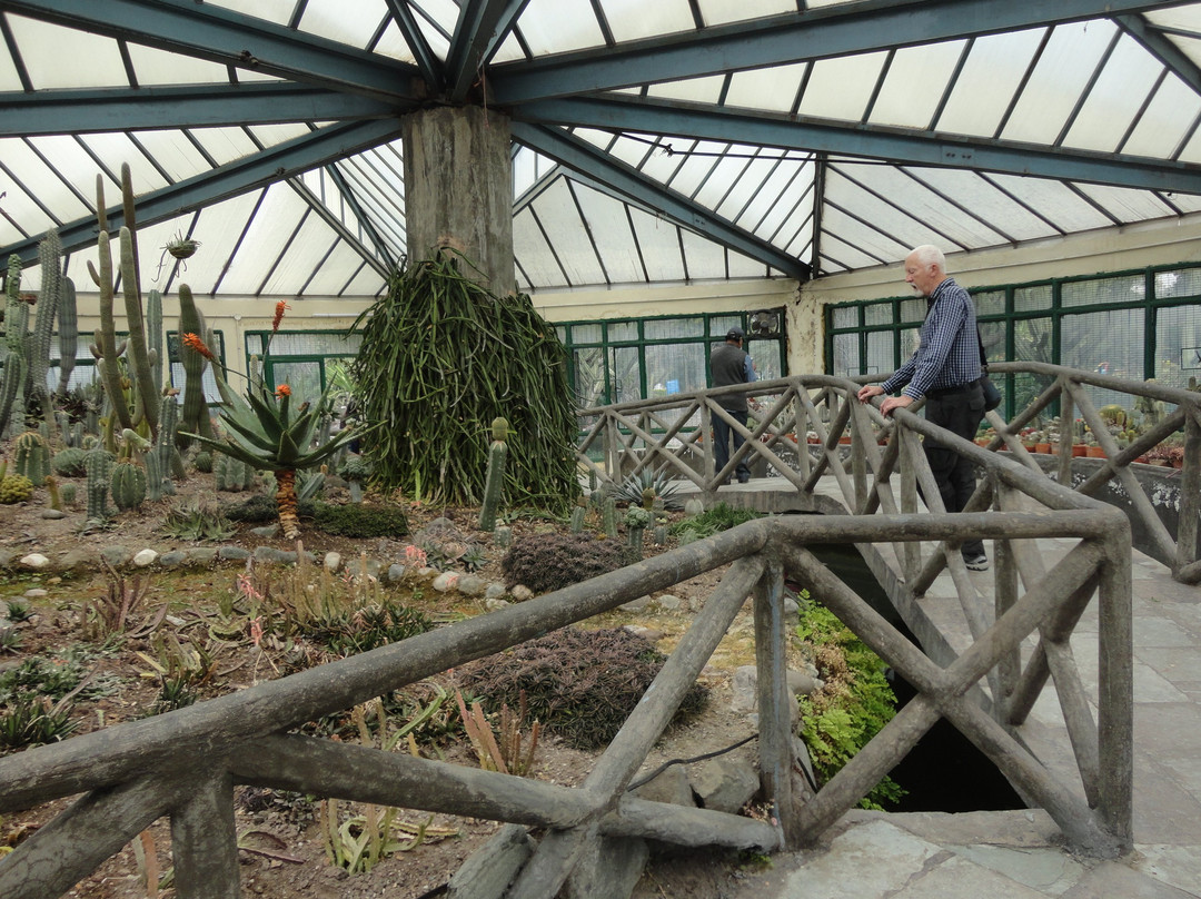 Sarkaria Cactus Garden-Panchkula必去景点