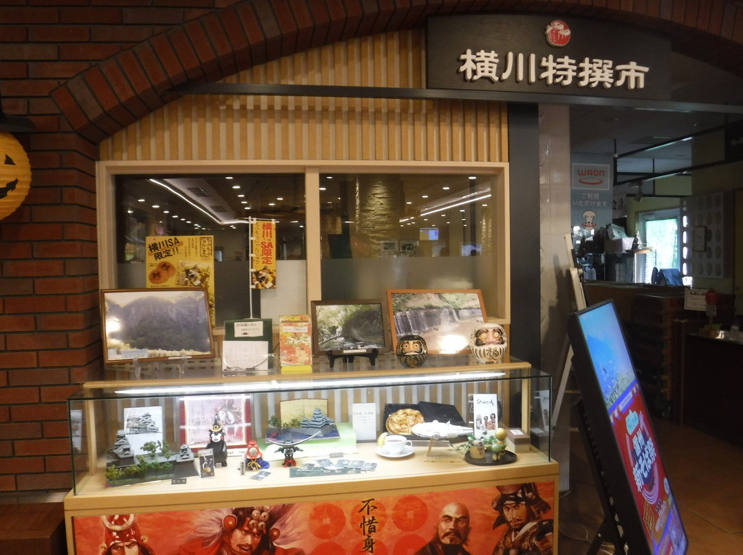 Yokokawa Service Area Outbound-安中市必去景点