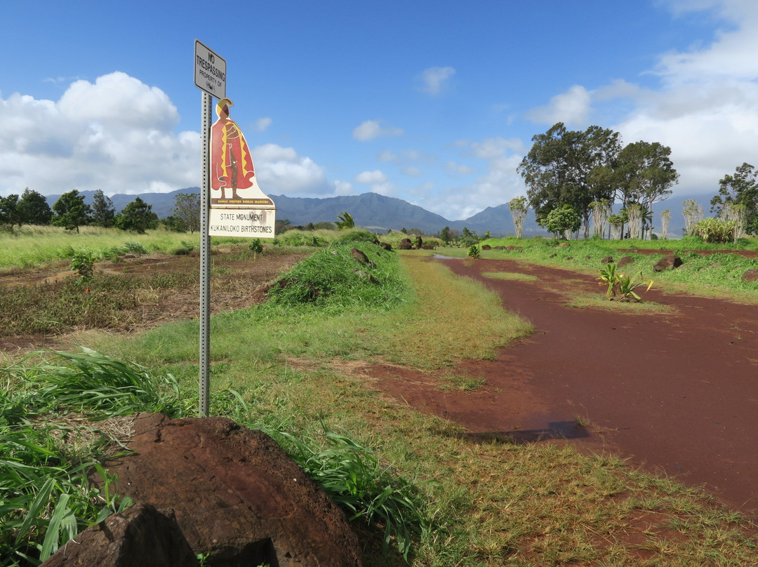 Kukaniloko Birthing Stones-瓦西瓦必去景点