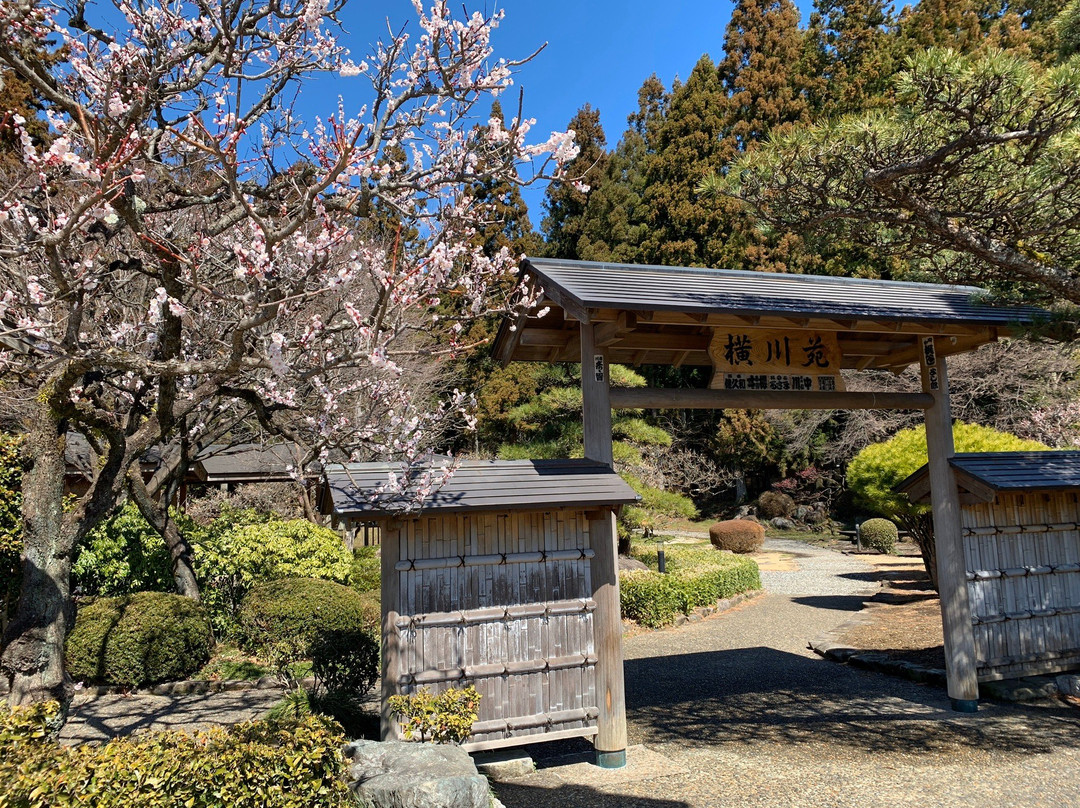 Yokokawa Service Area Inbound-安中市必去景点